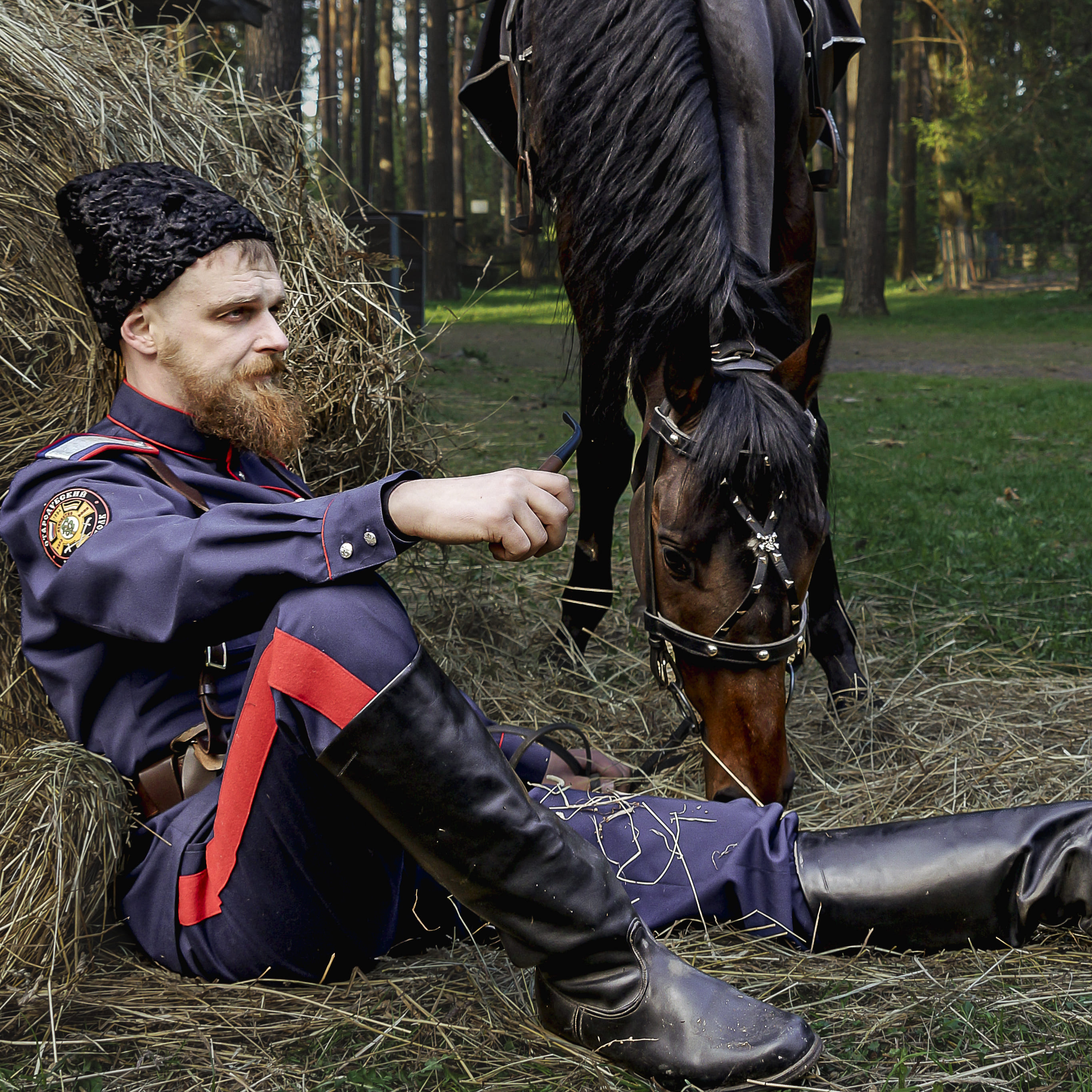 Конные прогулки