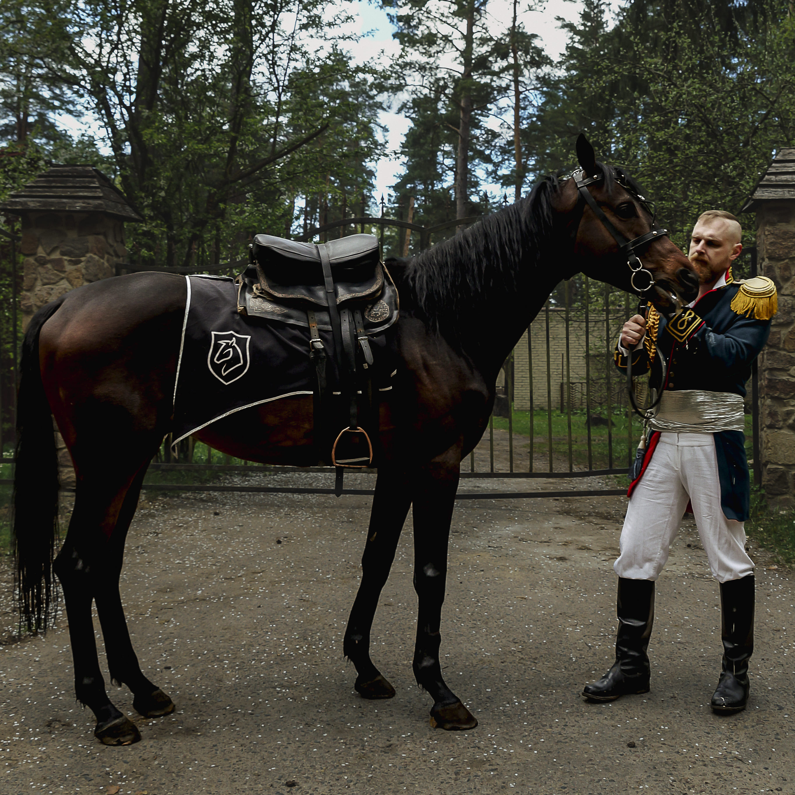 Конные прогулки