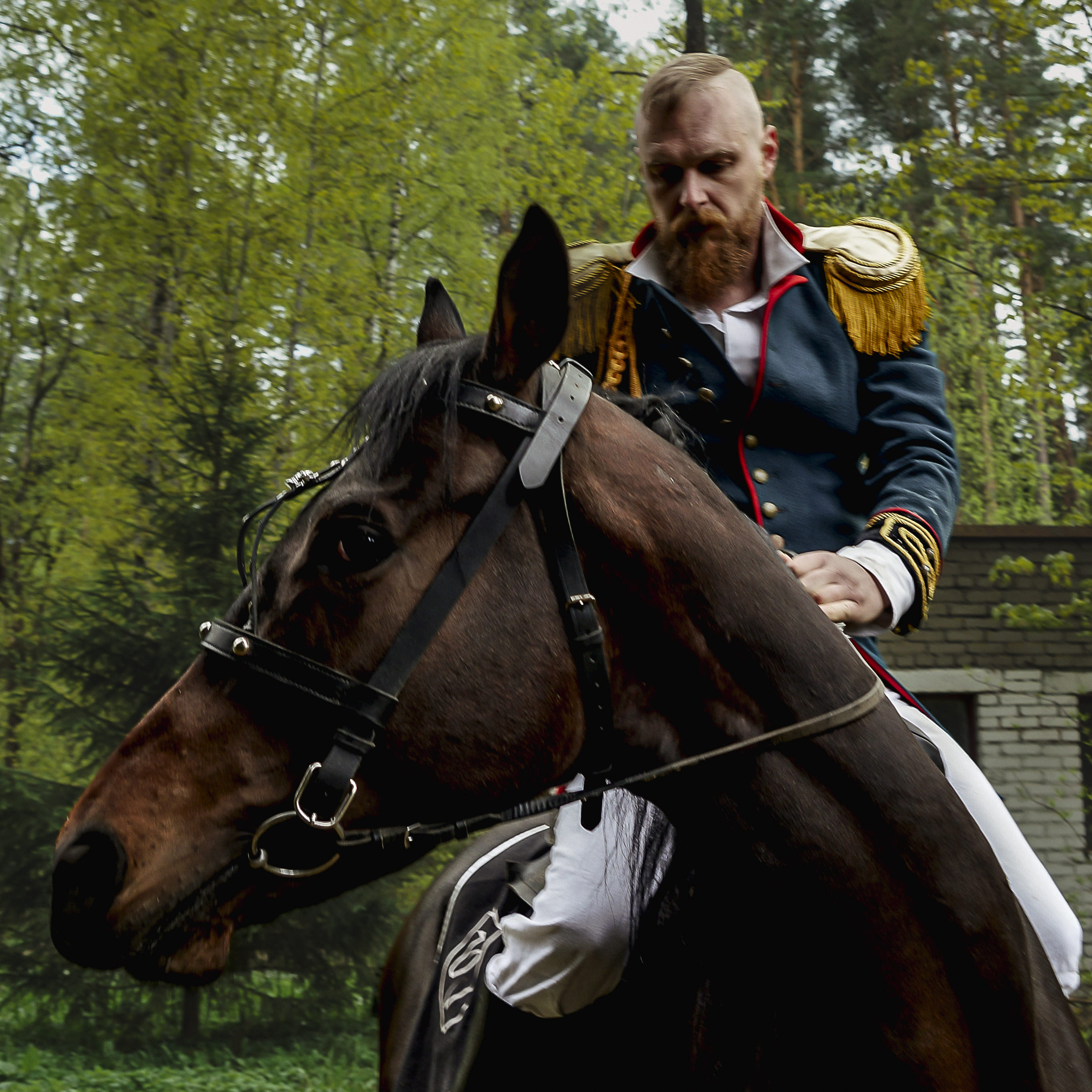 Конные прогулки