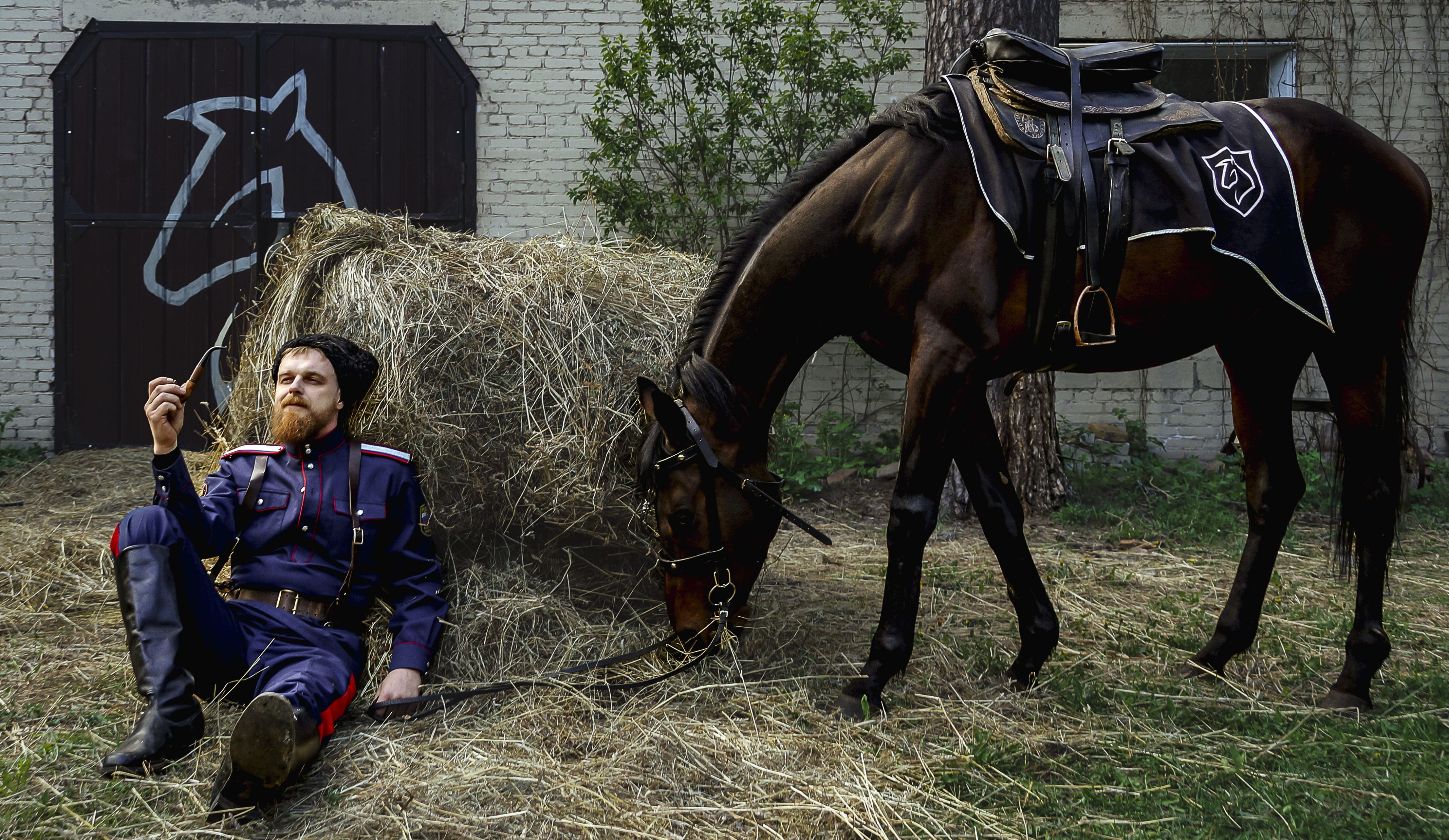 Конные прогулки