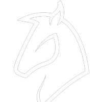 Конные прогулки в д. Дудинка